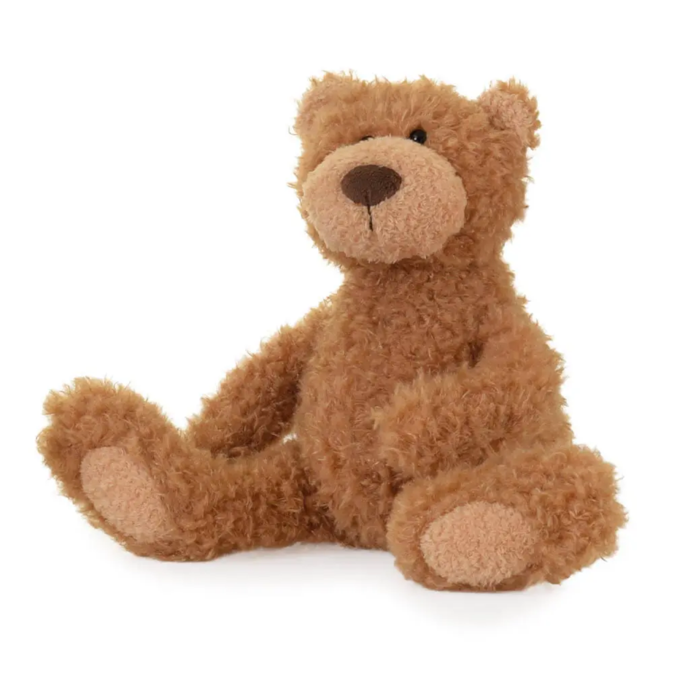 Brown teddy bear on a white background