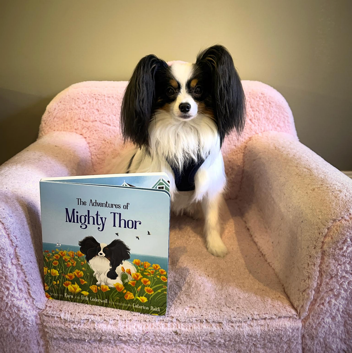 Dog sitting on a pink chair next to a book titled 'The Adventures of Mighty Thor'