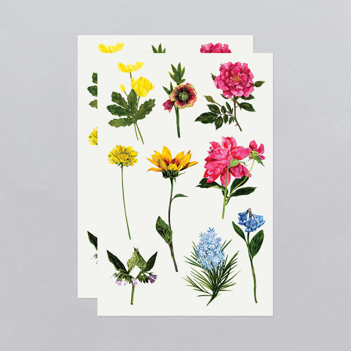 Garden Variety Tattoo Sheet -2pk
