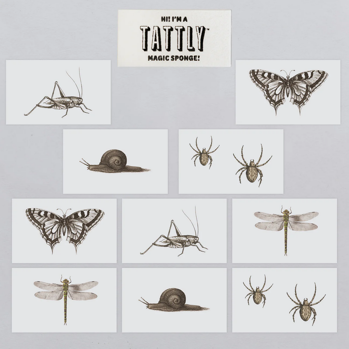 Collection of insect illustrations on a gray background with Tattly branding.