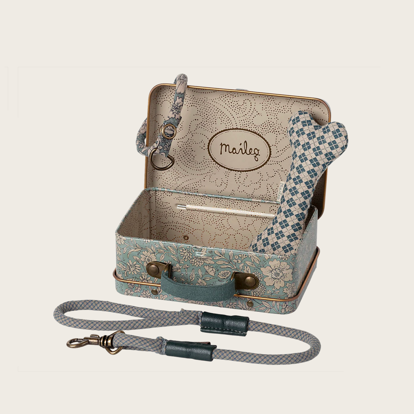 Dog supply accessory set with suitcase and leash