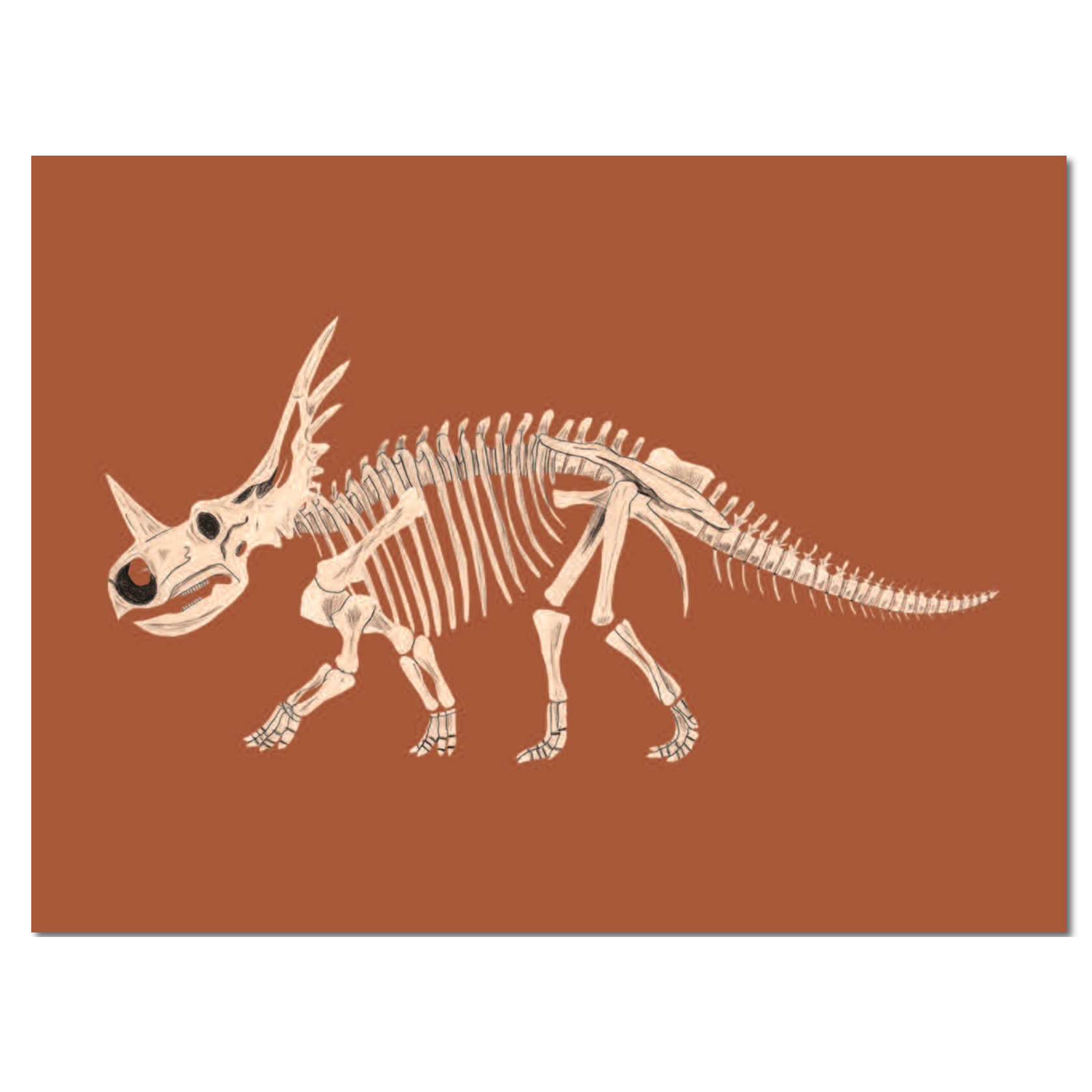 Dinosaur skeleton illustration on a brown background