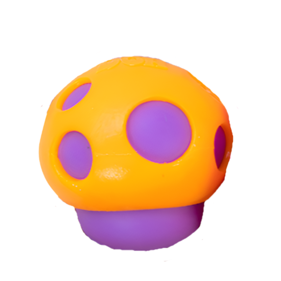 NeeDoh Groovy Shroom