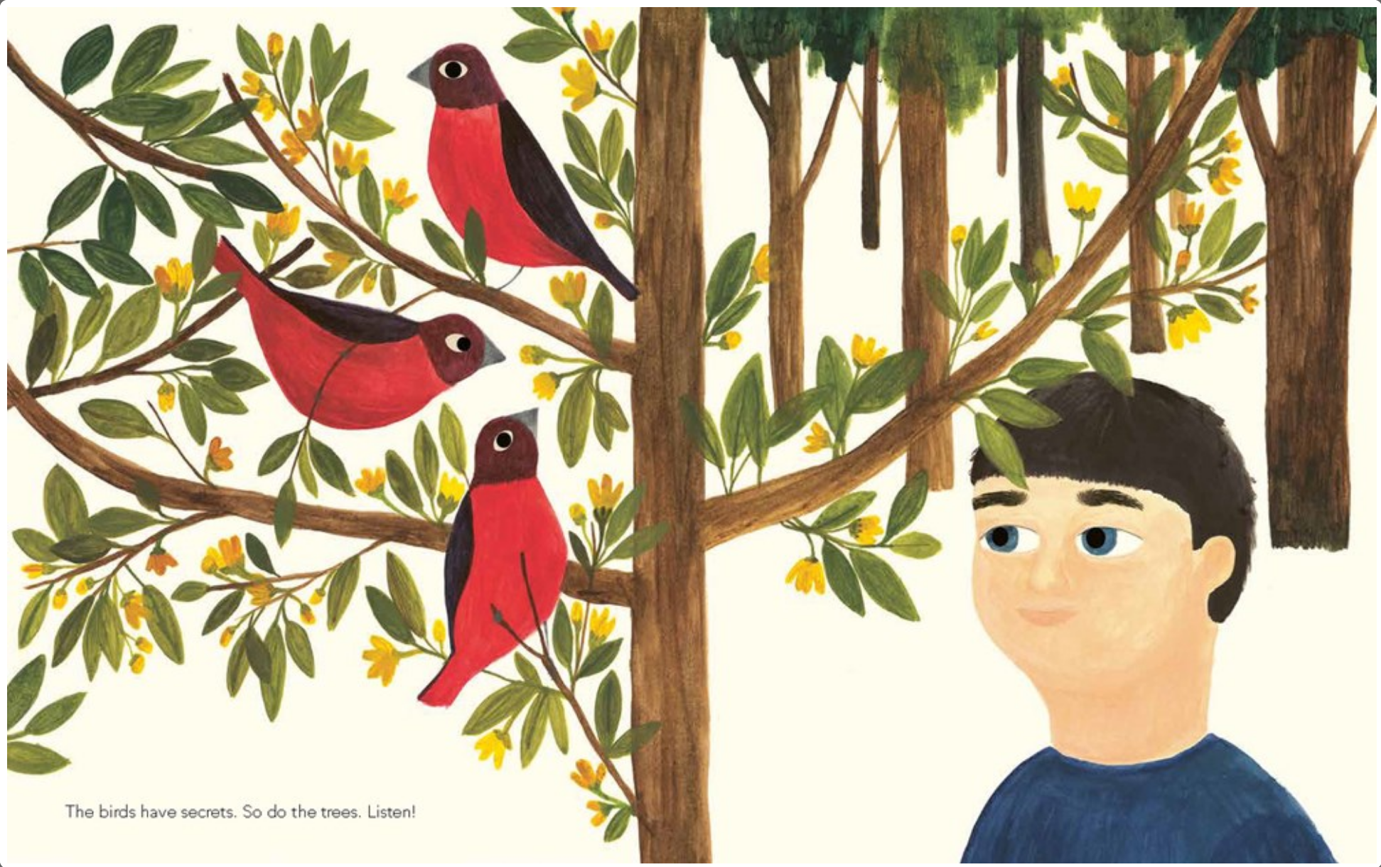 A Walk in the Forest -paperback