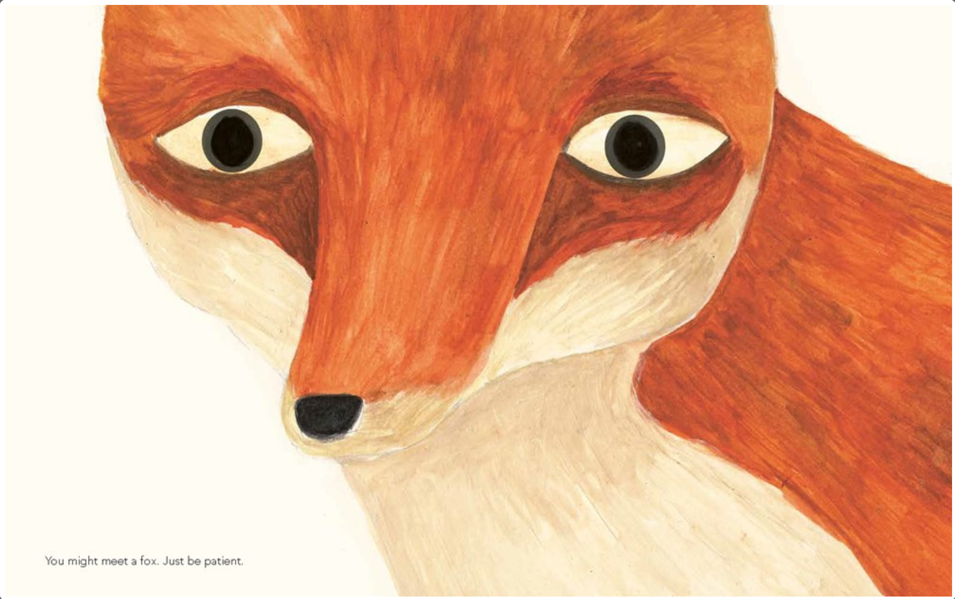 A Walk in the Forest -paperback