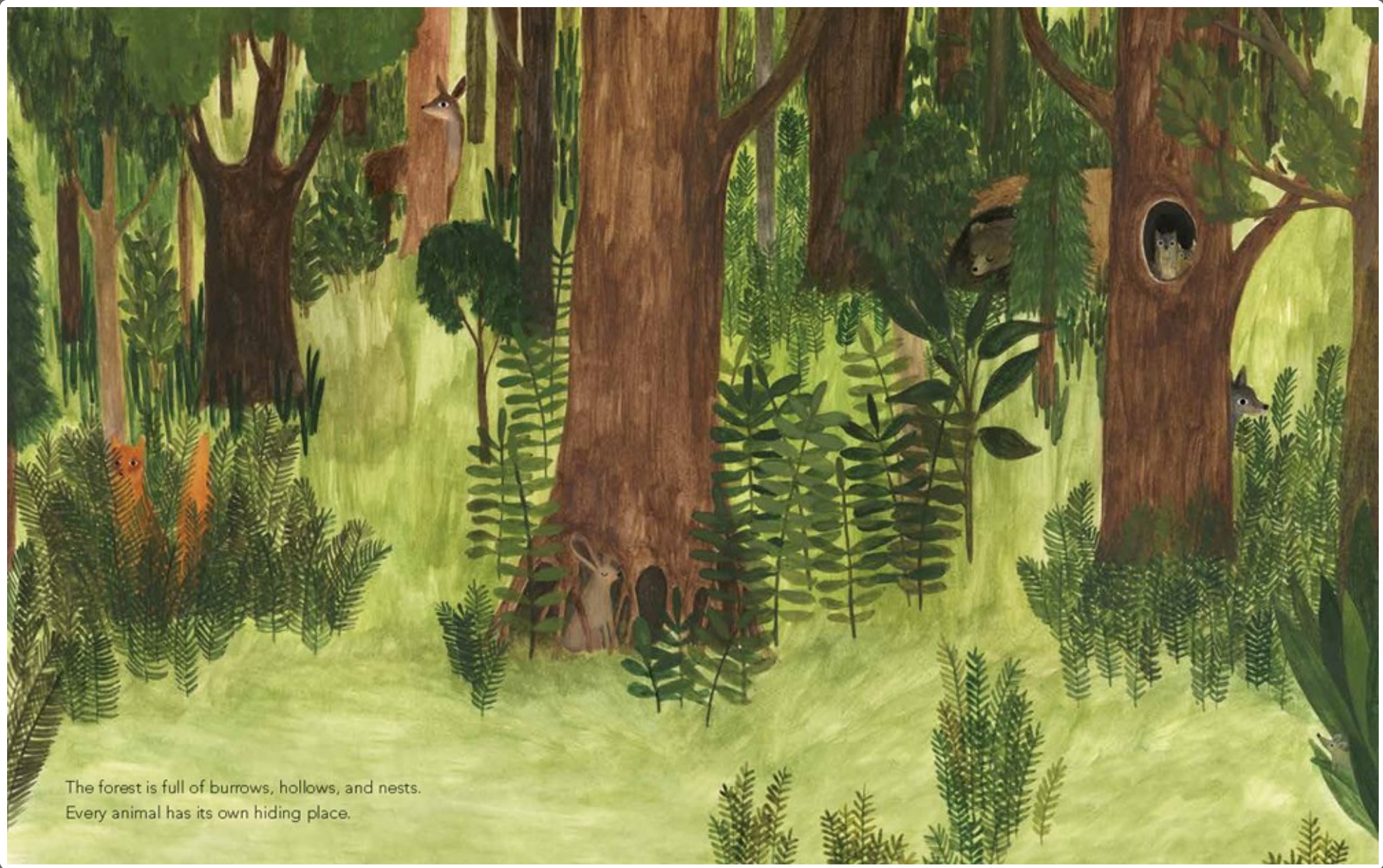 A Walk in the Forest -paperback