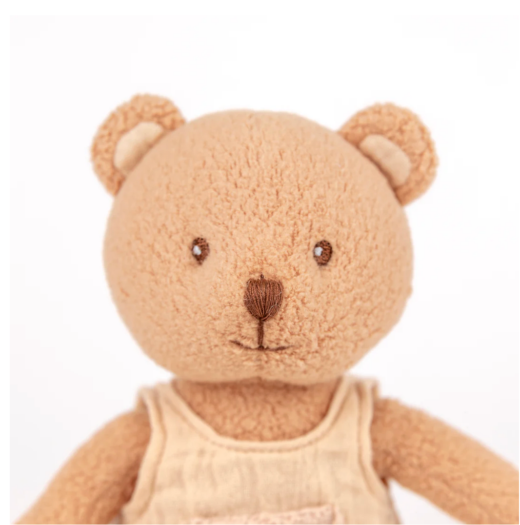 Close-up of a brown teddy bear with a white background