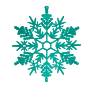 Flocked Snowflake Ornament