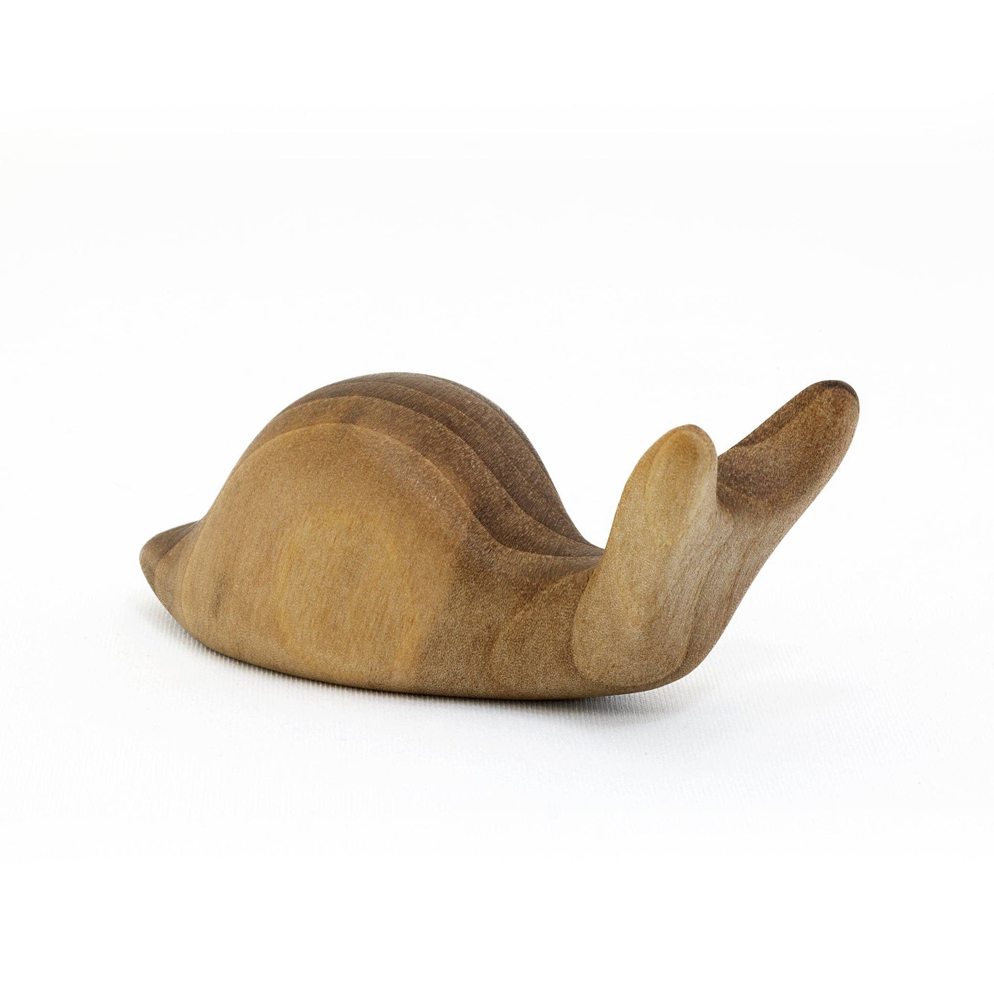 Antonio Vitali Animals - Snail