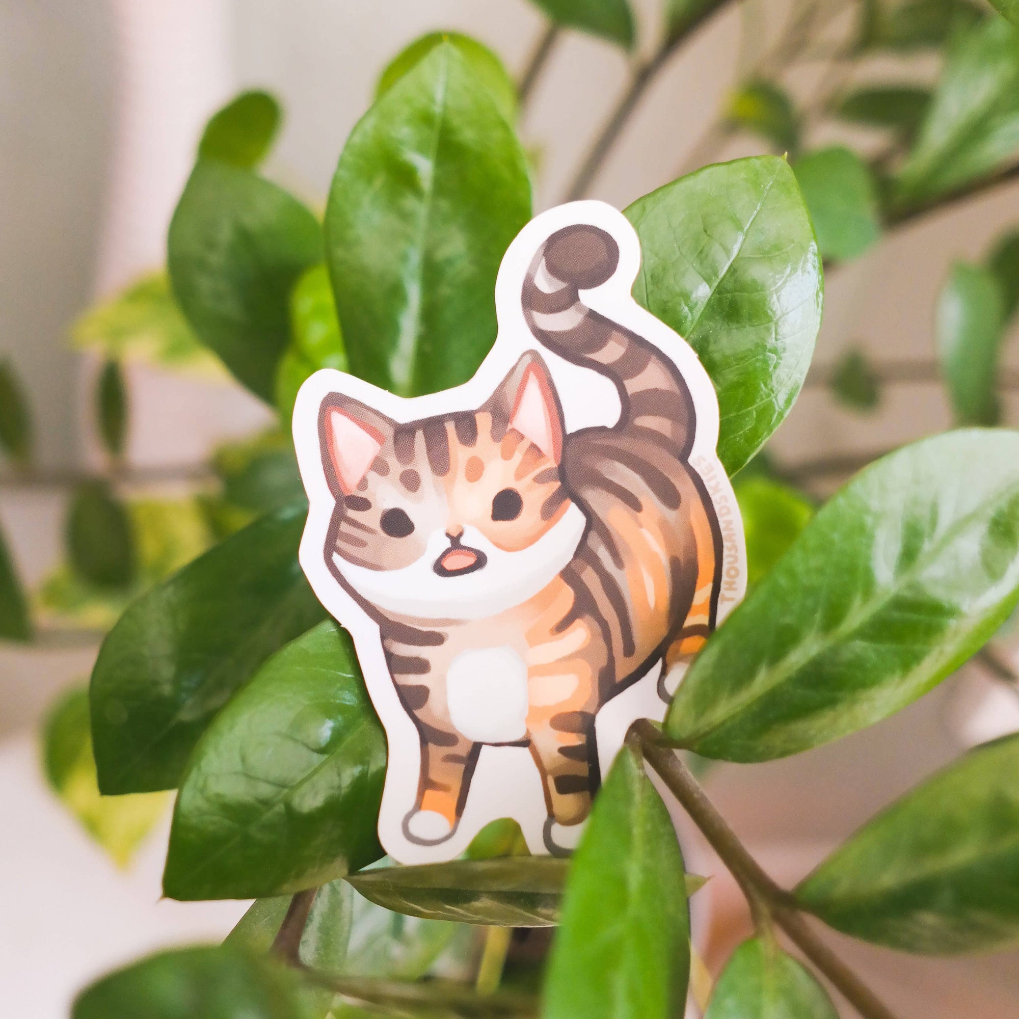 Vinyl Sticker Sparkles Begs for Food