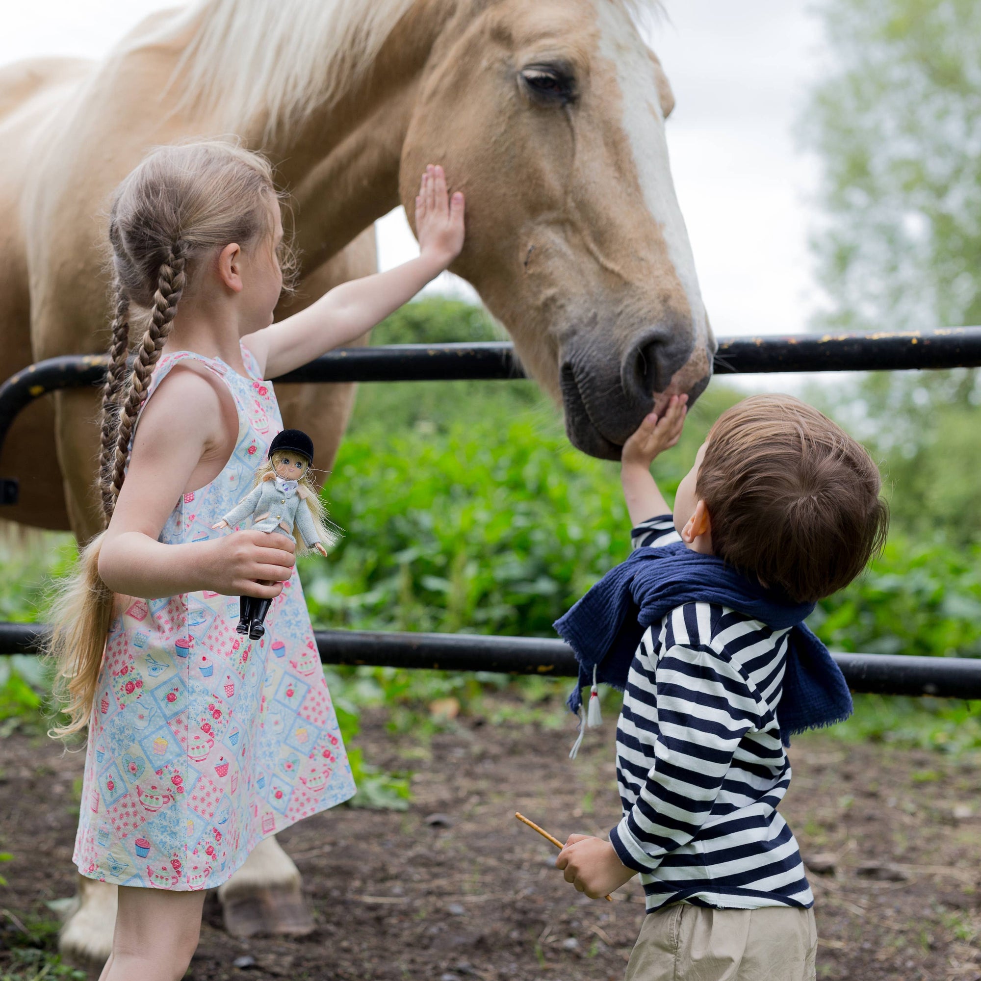 Sirius the Welsh Mountain Pony