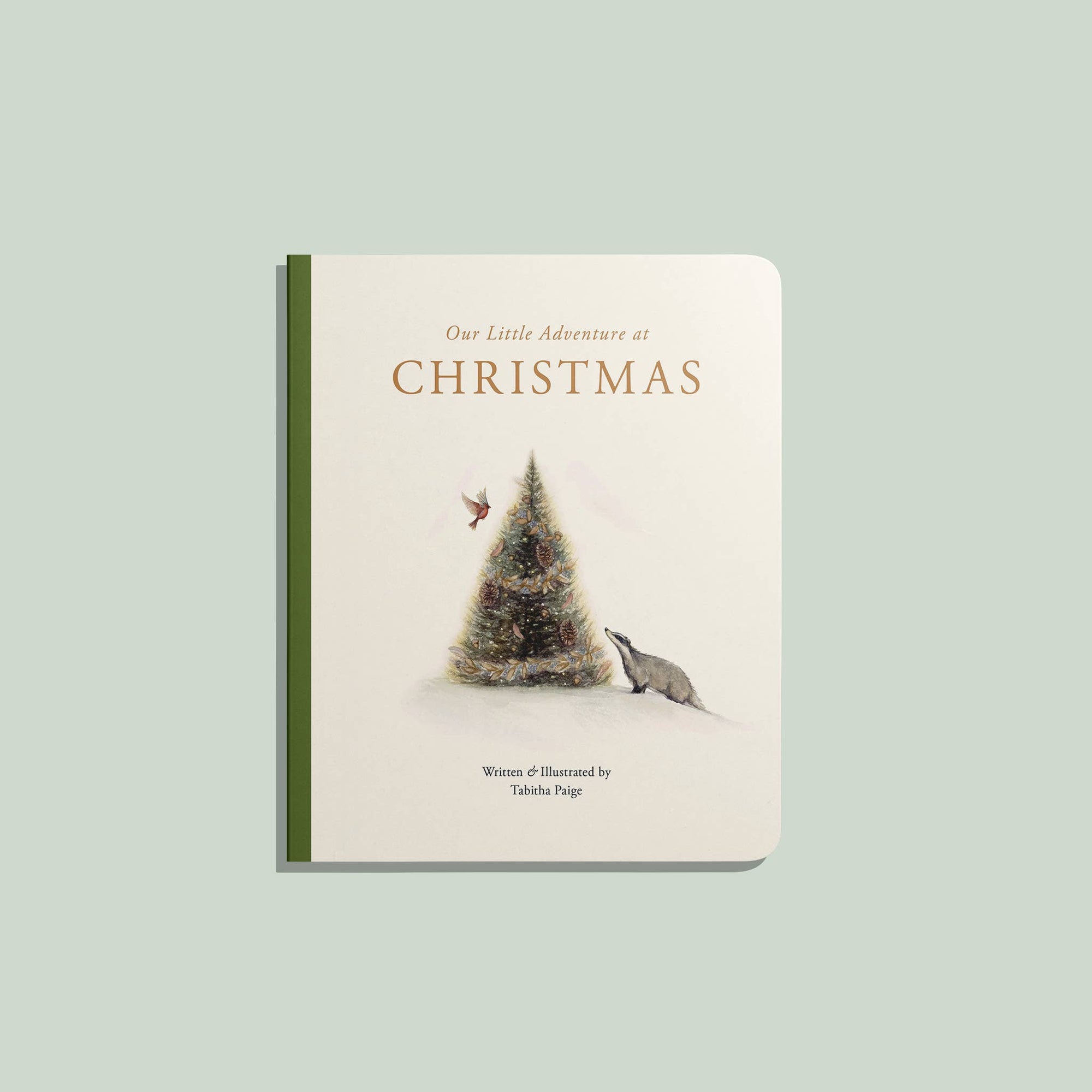Book titled 'Our Little Adventure at Christmas' with a Christmas tree and deer illustration on a light green background.