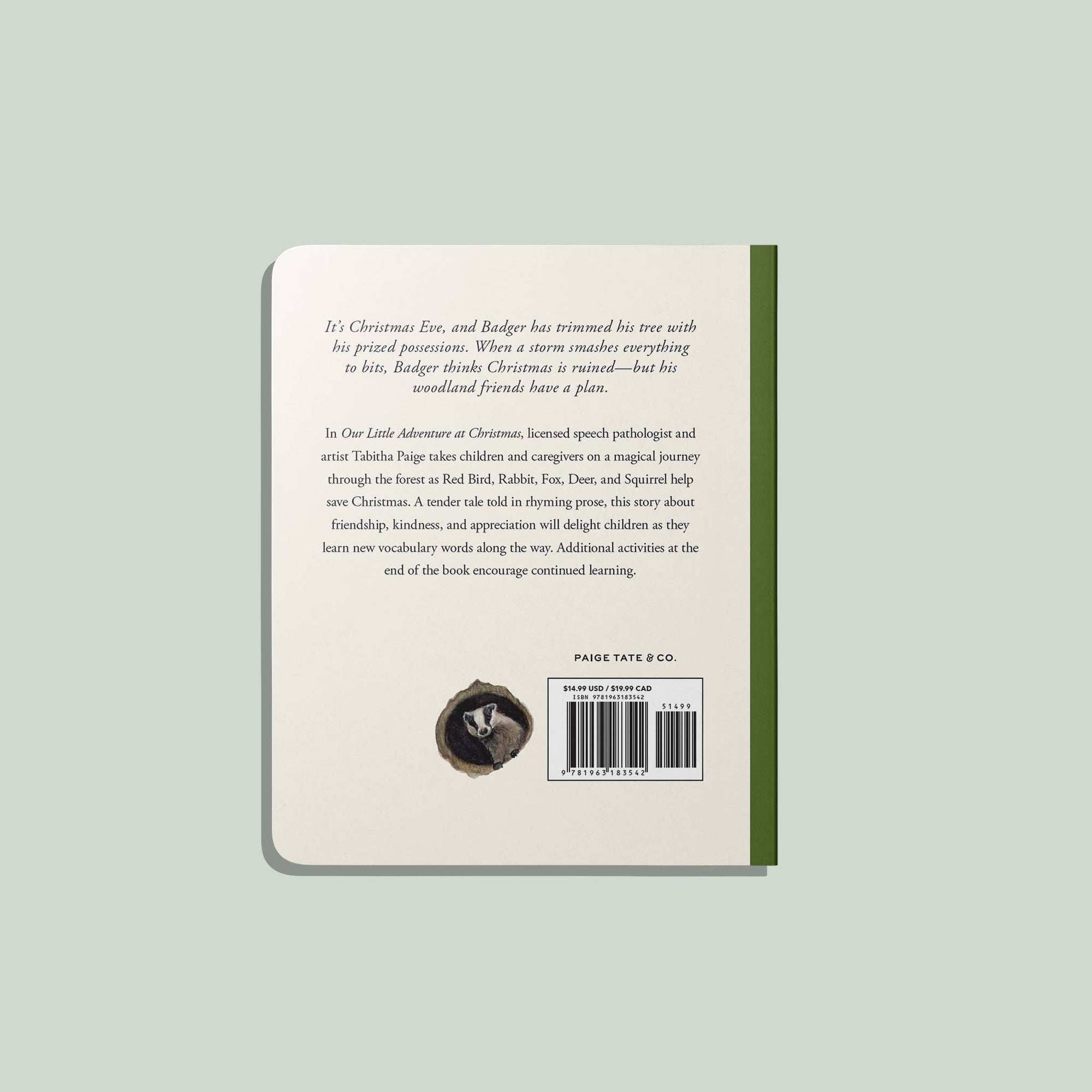 Back cover of a book with text and a barcode on a light gray background