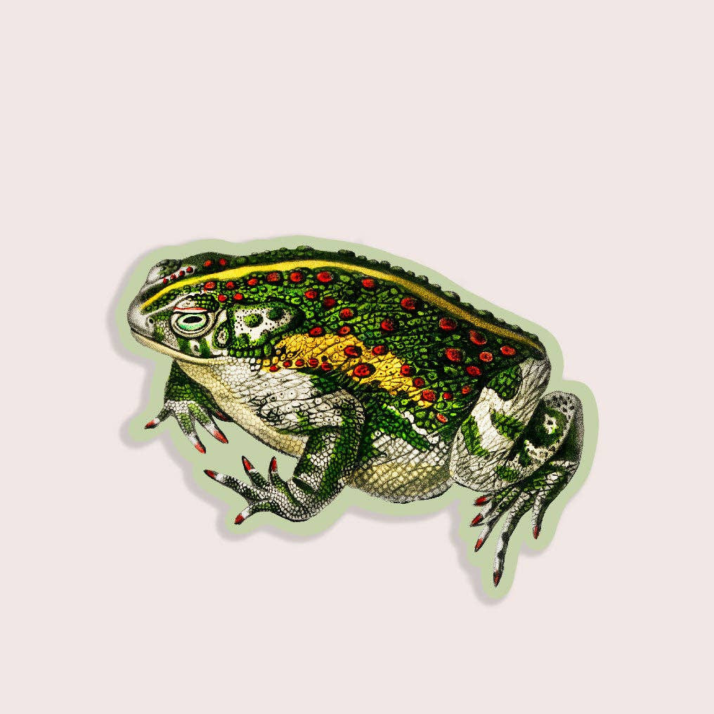 Decorative sticker of a frog with a skull and crossbones design on a light pink background