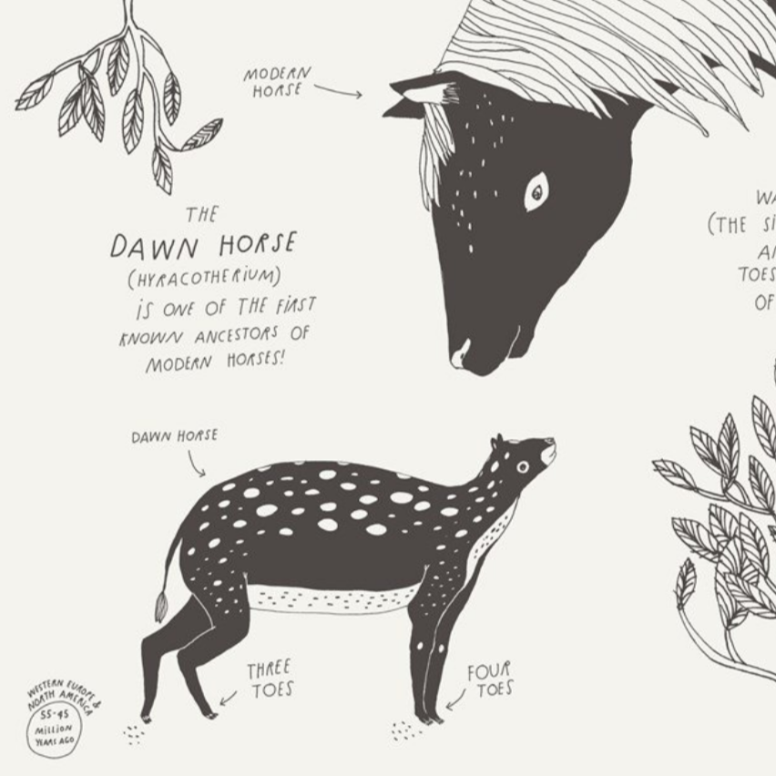 Animals of a Bygone Era