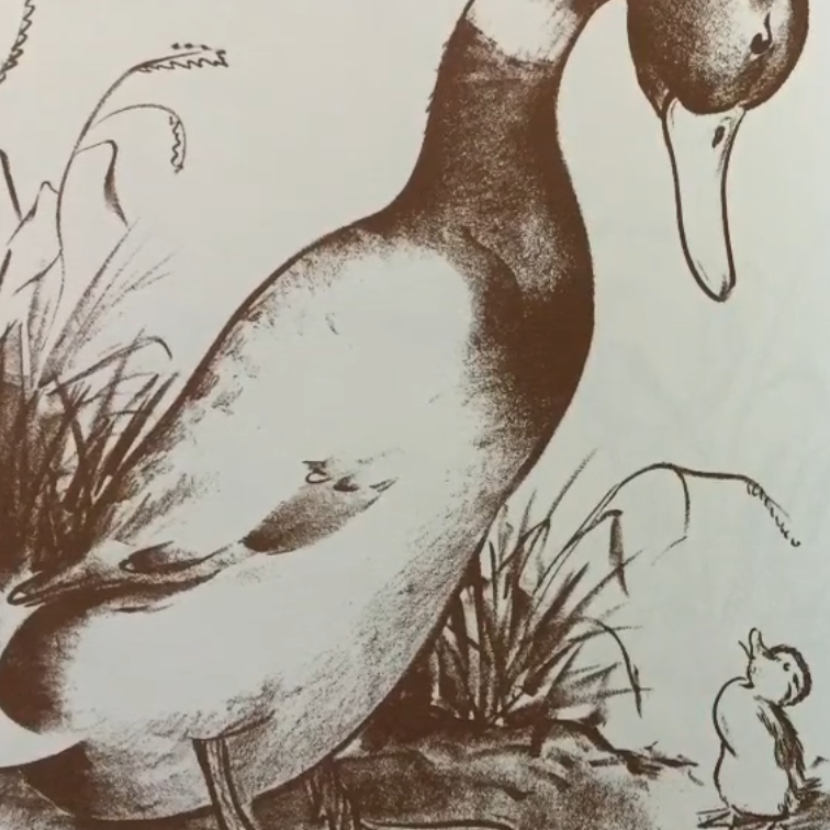Make Way For Ducklings