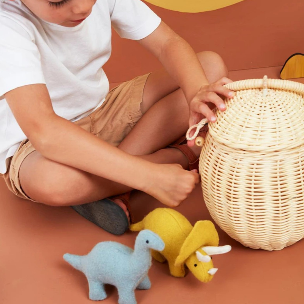 Rattan Egg Basket
