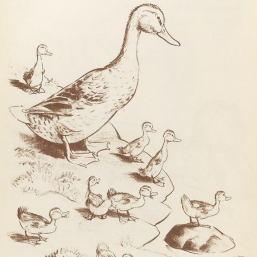 Make Way For Ducklings