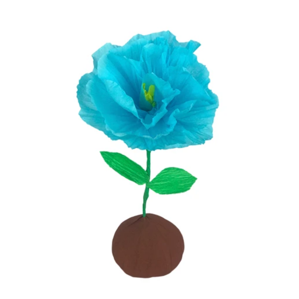 Mini Surprize Ball Flower Bulb Assorted