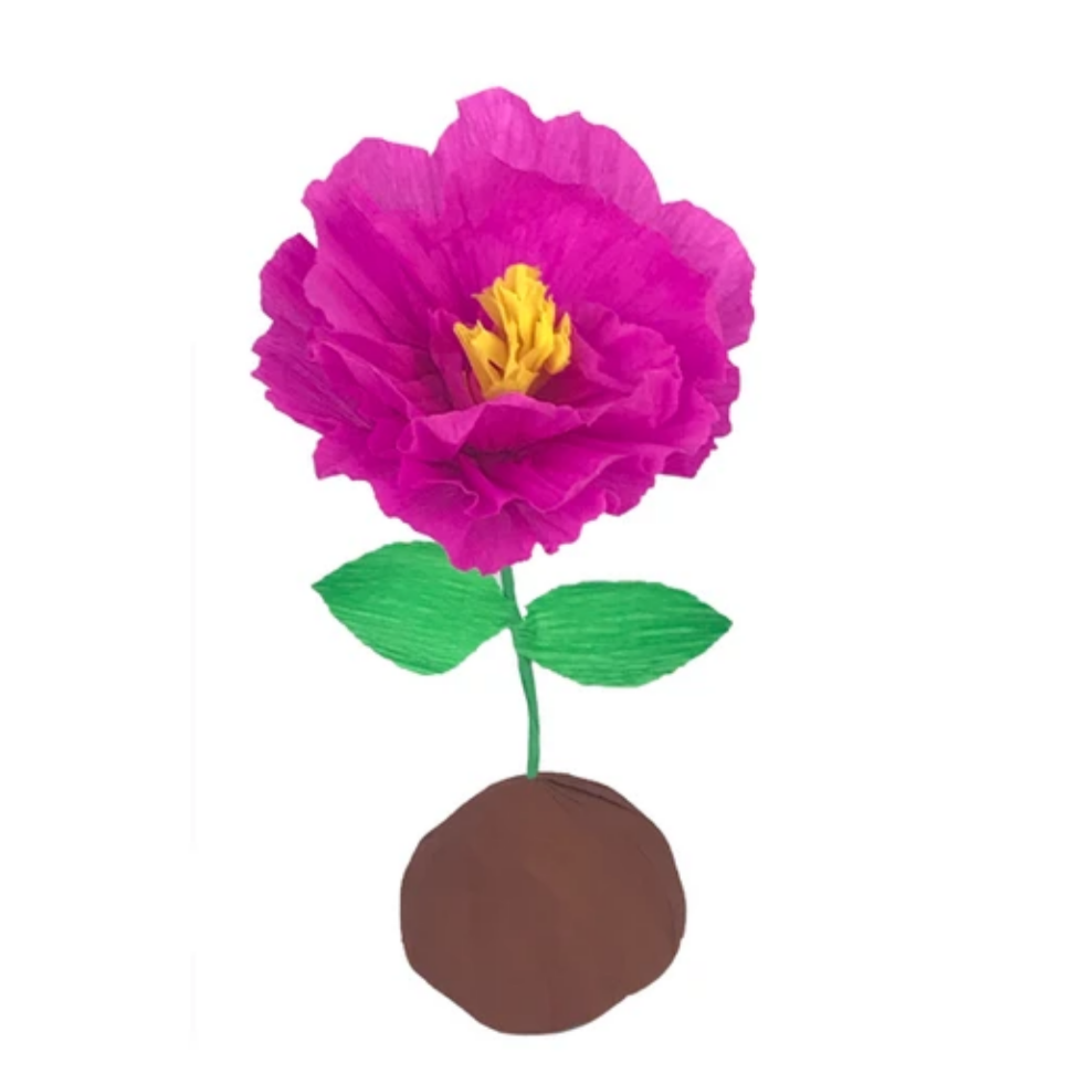 Mini Surprize Ball Flower Bulb Assorted