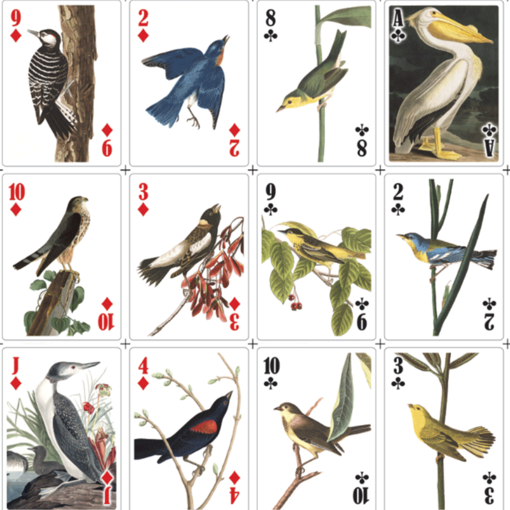 3-D Bird Playing Cards
