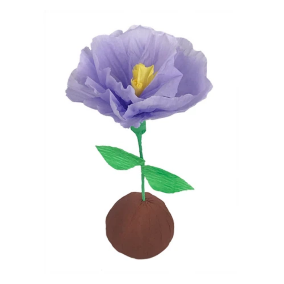 Mini Surprize Ball Flower Bulb Assorted