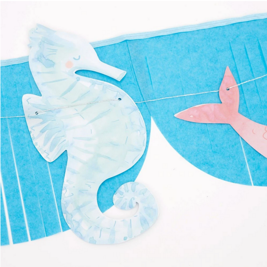 close up of seahorse