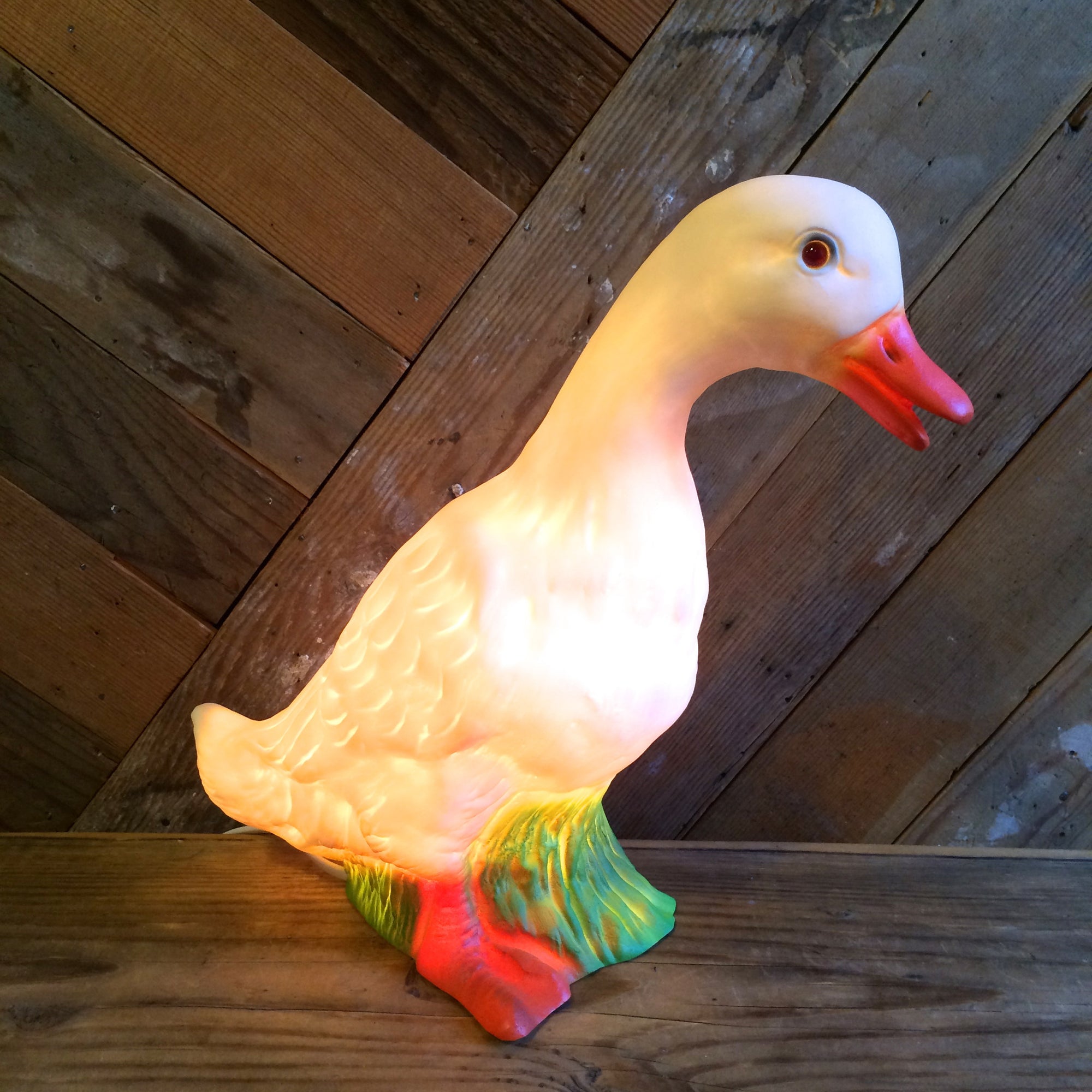 alternate view of duck