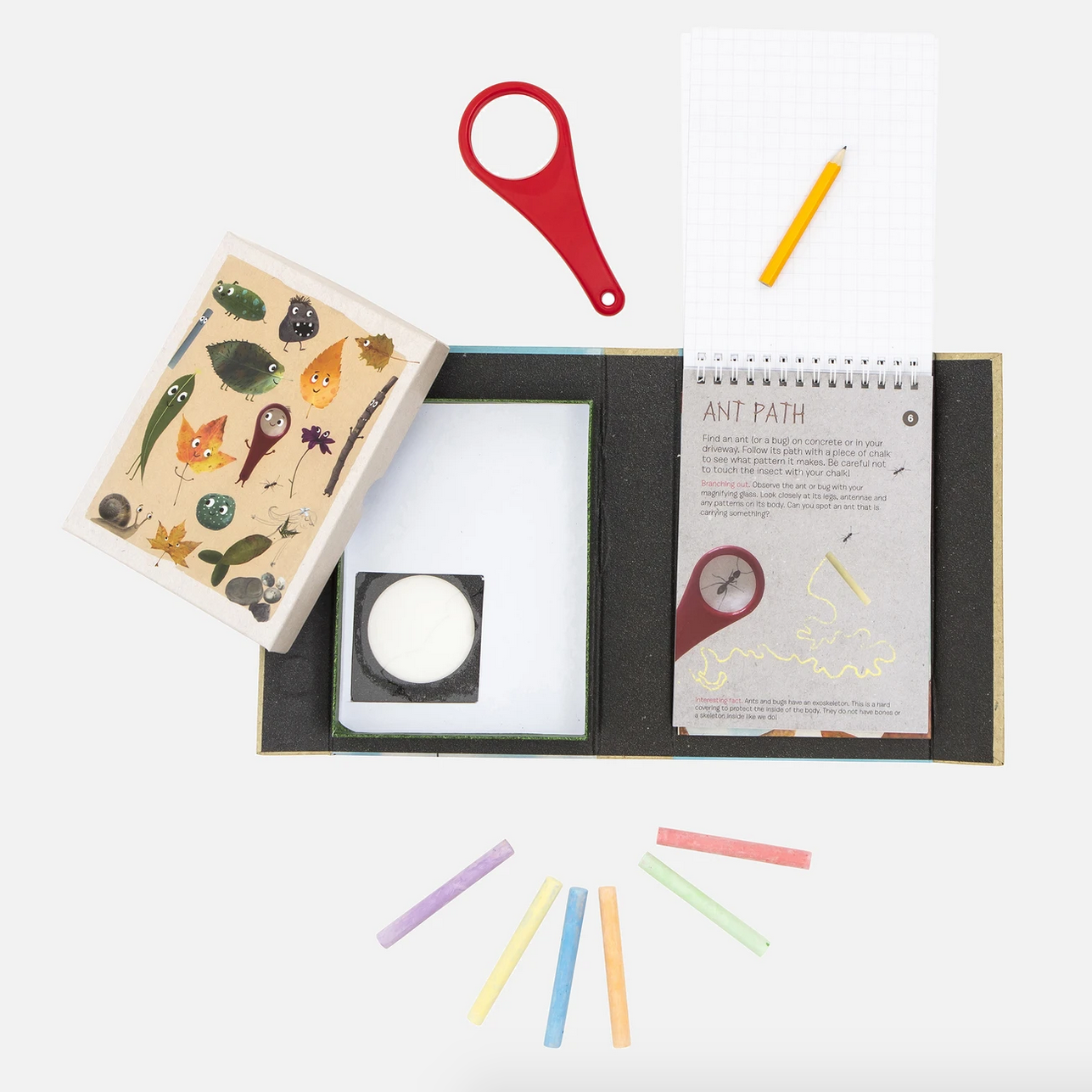 open box with red magnigying glass, chalk, pencil and notebook