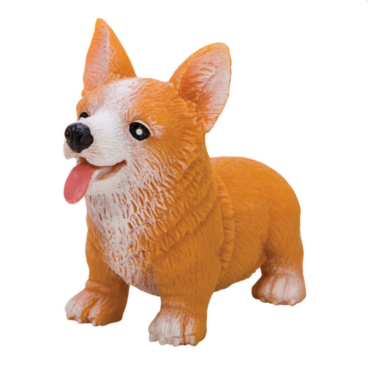corgi