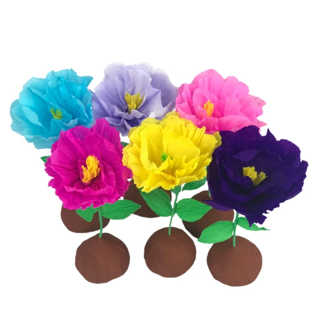 Mini Surprize Ball Flower Bulb Assorted
