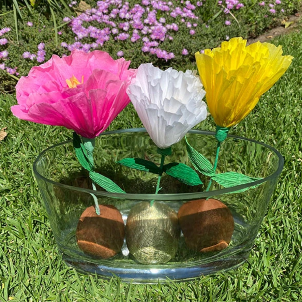 Mini Surprize Ball Flower Bulb Assorted