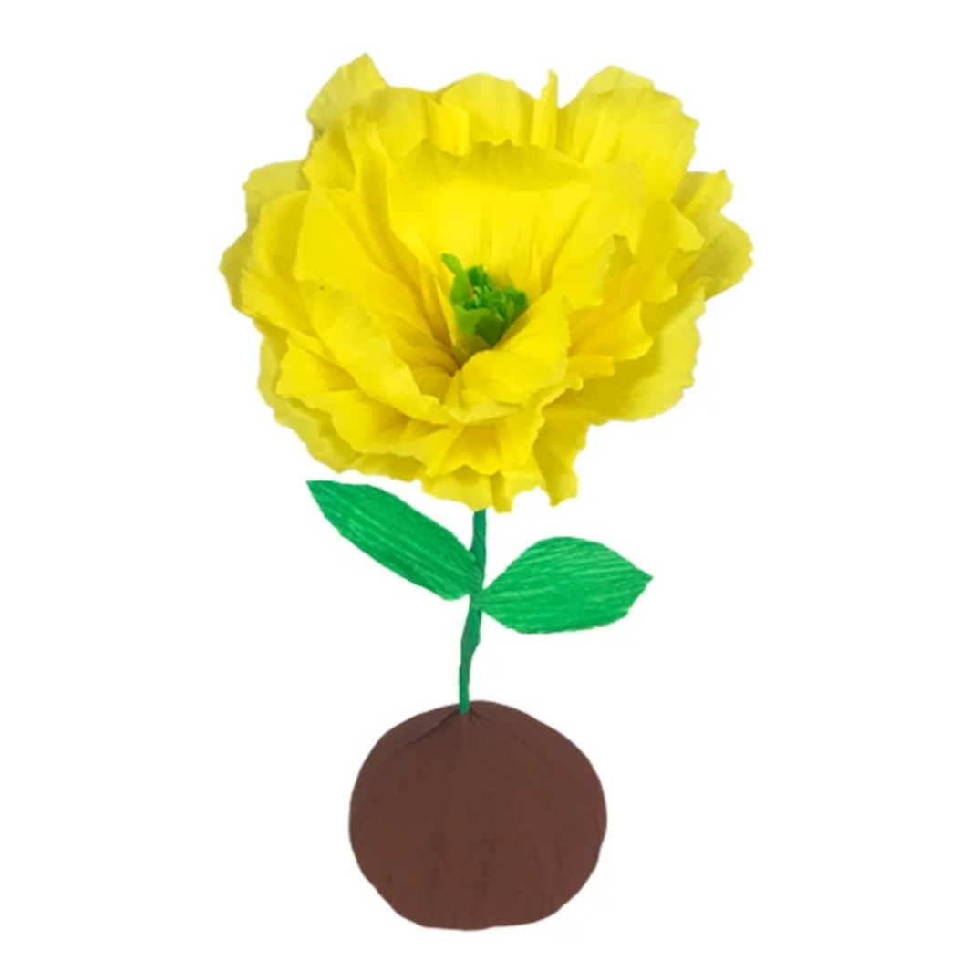 Mini Surprize Ball Flower Bulb Assorted