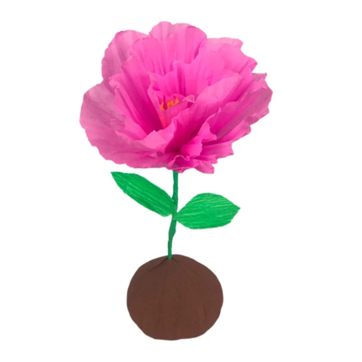 Mini Surprize Ball Flower Bulb Assorted