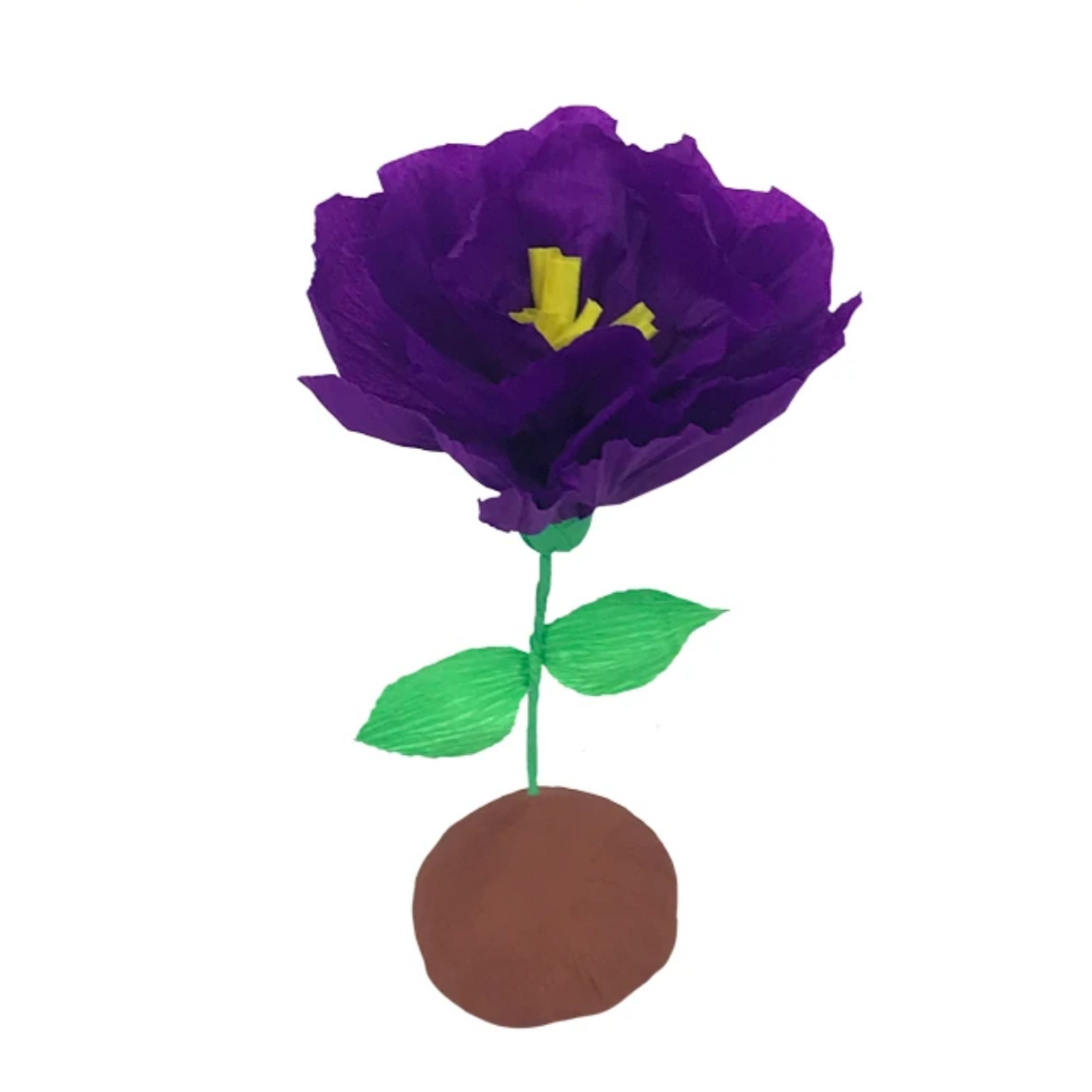 Mini Surprize Ball Flower Bulb Assorted