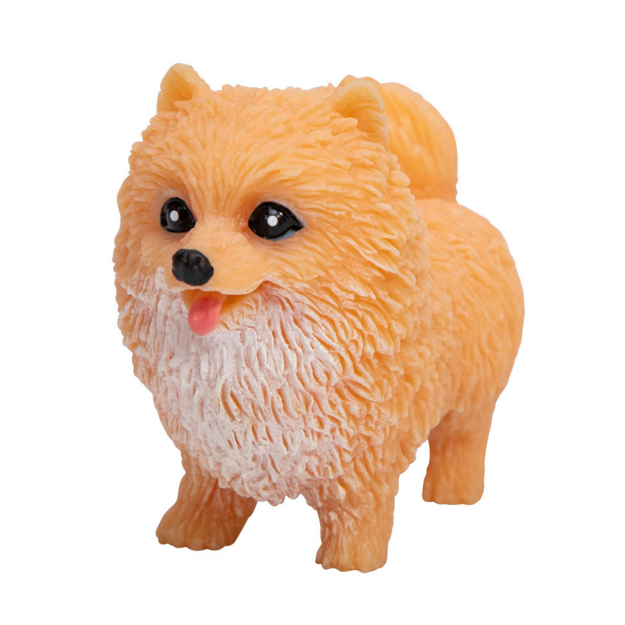 pomeranian