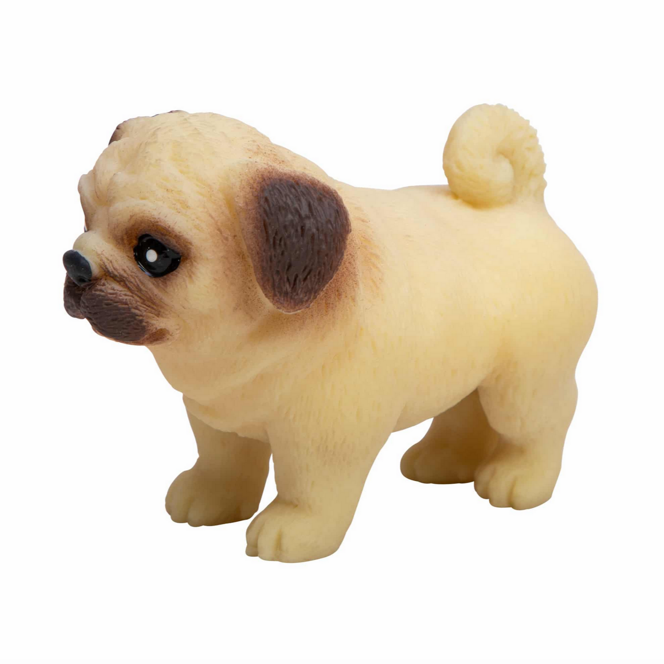 pug