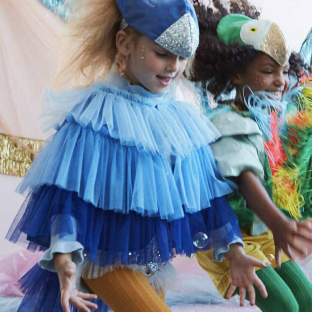 Blue Bird Cape Dress Up