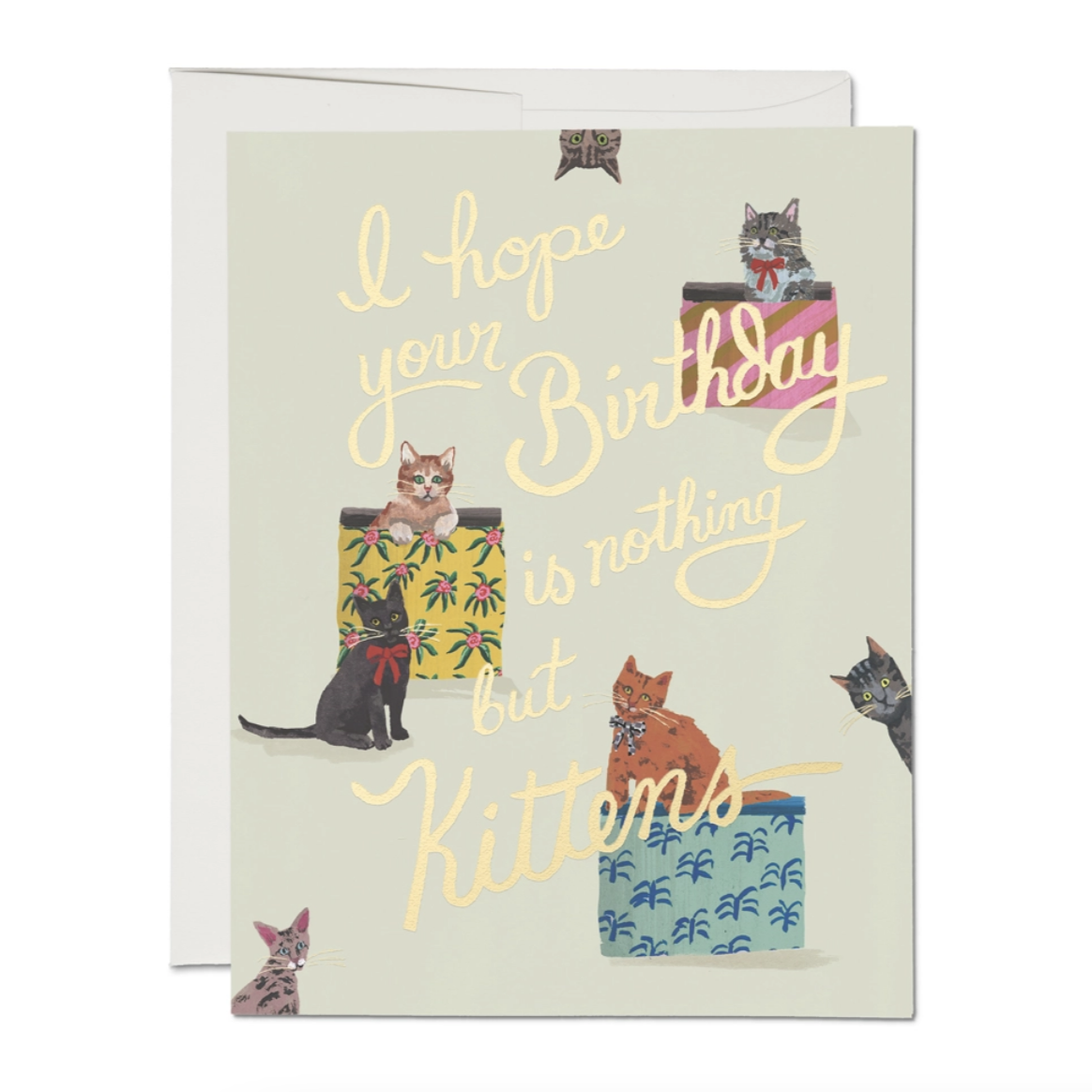 card with cats popping out of boxes. text reads "I hope your birthday is nothing but kittens"