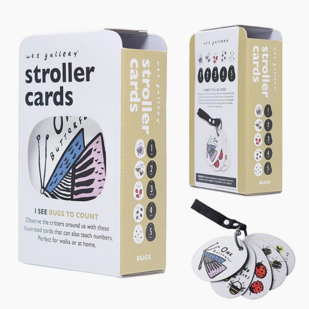 Stroller Cards - I See Bugs to Count