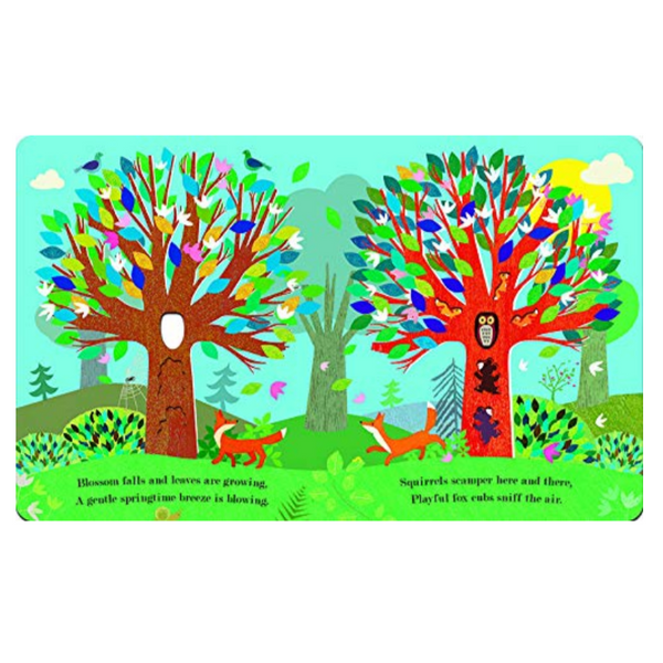 Tree: A Peek-Through board book (0-3yrs)