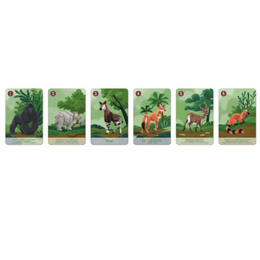 Animal Kingdom Happy Families Set - In partnership with WWF