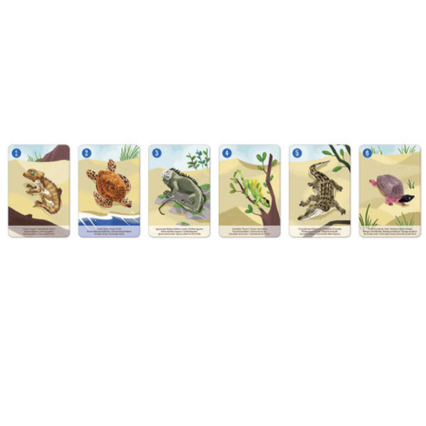 Animal Kingdom Happy Families Set - In partnership with WWF