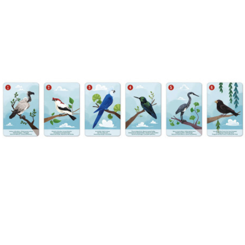 Animal Kingdom Happy Families Set - In partnership with WWF