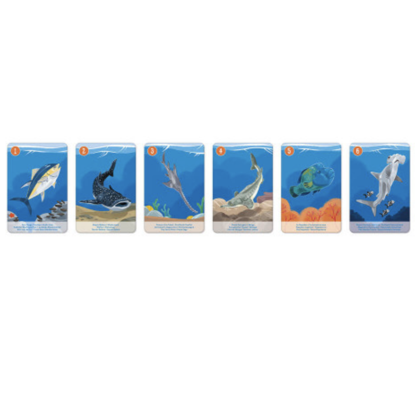 Animal Kingdom Happy Families Set - In partnership with WWF