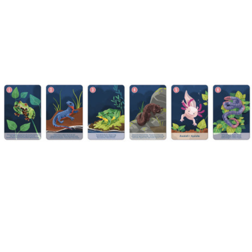 Animal Kingdom Happy Families Set - In partnership with WWF