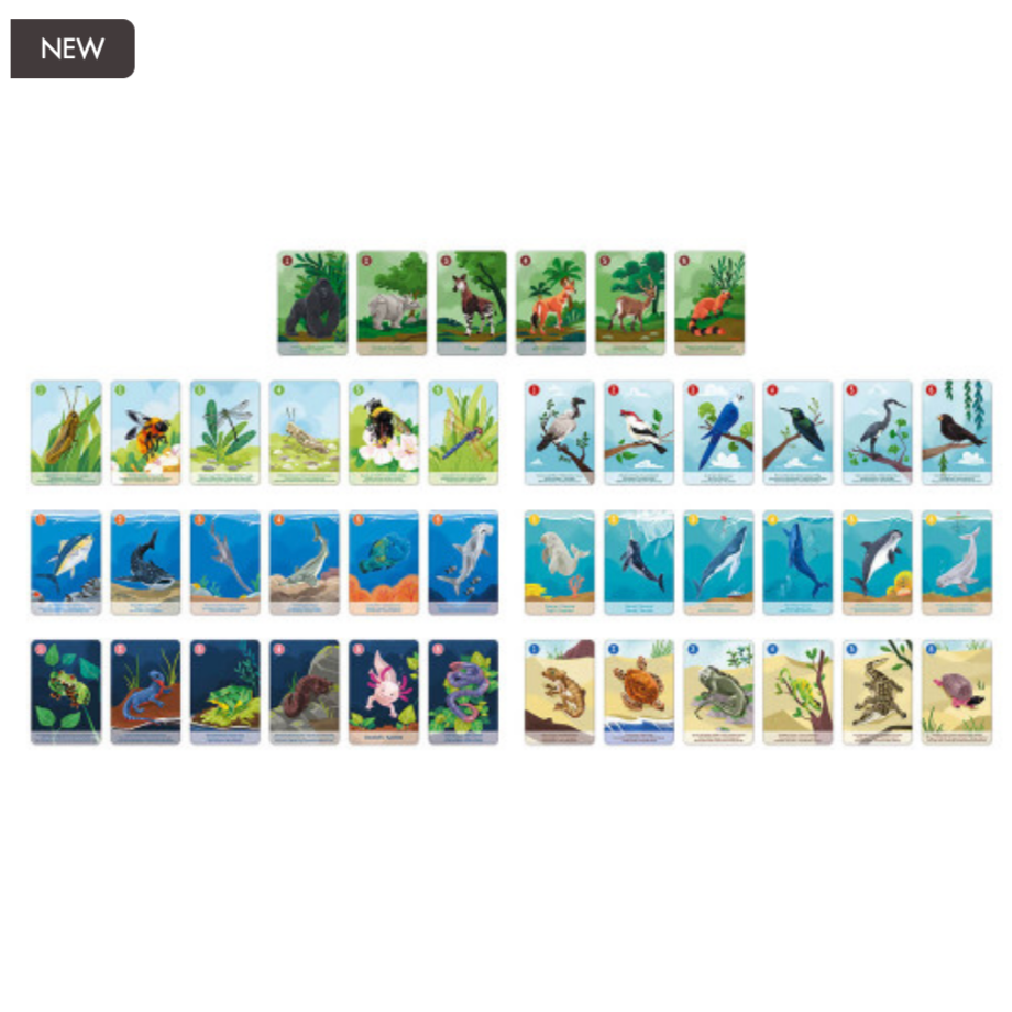 Animal Kingdom Happy Families Set - In partnership with WWF