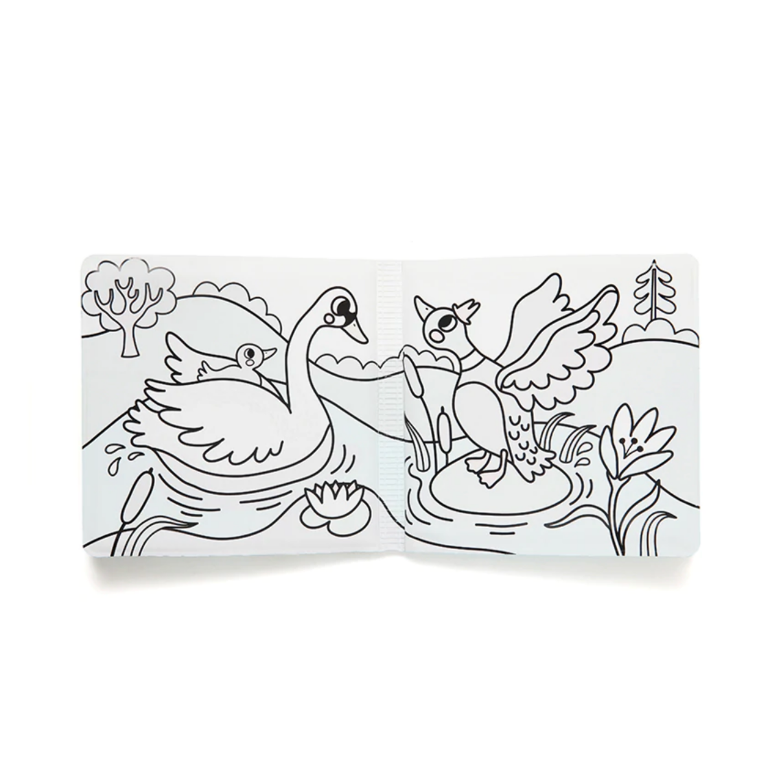 Splish Splash Magic Bath Book: Fly -Helen Dardik