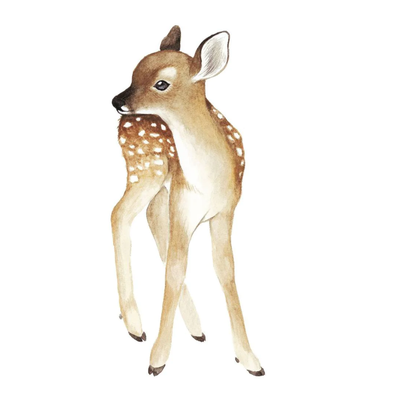 Fawn Wall Decal