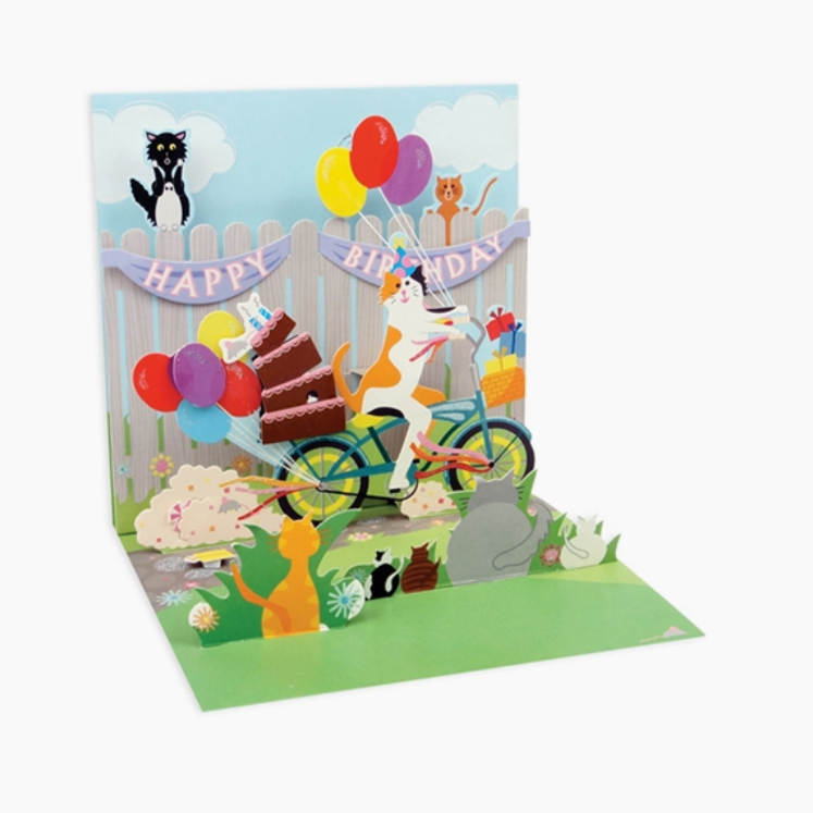 Cat And Cake Bike Ride pop-out